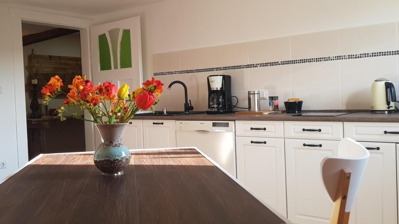 Ferienwohnung Malu Sol Im Harz - Stilvoll, Gemuetlich, Tierfreundlich - Mit Garten Allrode Ngoại thất bức ảnh