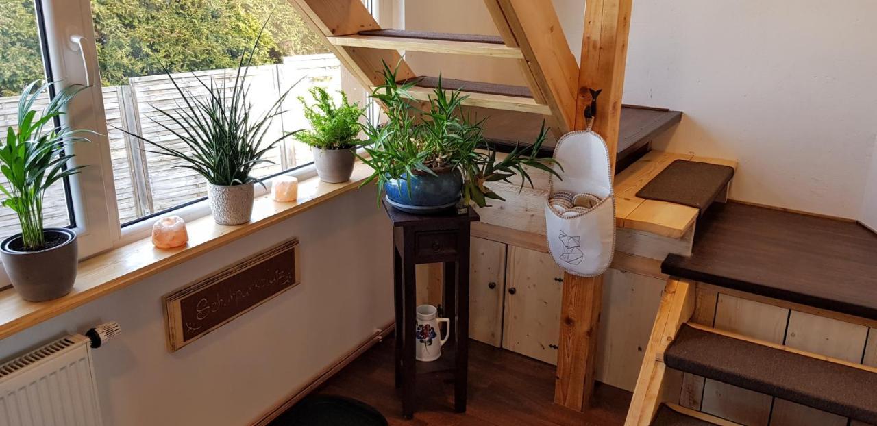 Ferienwohnung Malu Sol Im Harz - Stilvoll, Gemuetlich, Tierfreundlich - Mit Garten Allrode Ngoại thất bức ảnh
