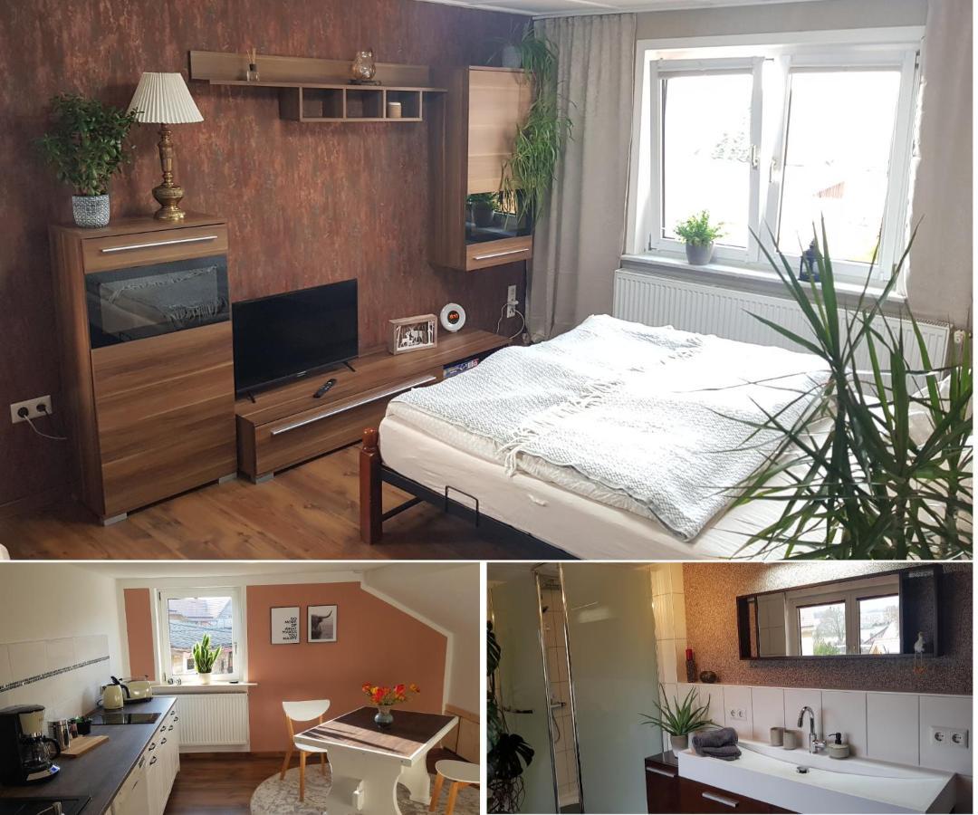 Ferienwohnung Malu Sol Im Harz - Stilvoll, Gemuetlich, Tierfreundlich - Mit Garten Allrode Ngoại thất bức ảnh