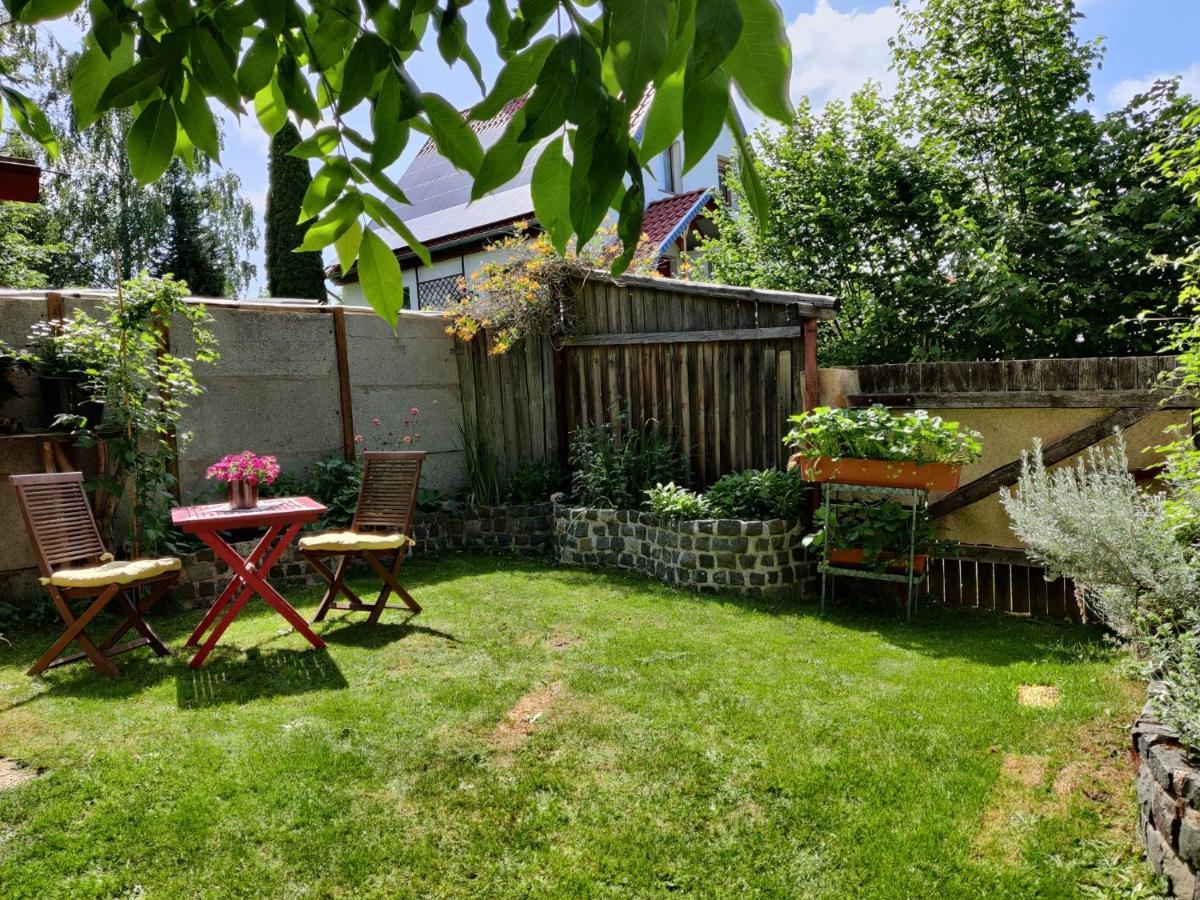 Ferienwohnung Malu Sol Im Harz - Stilvoll, Gemuetlich, Tierfreundlich - Mit Garten Allrode Ngoại thất bức ảnh